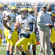 Illustration for article titled How Will Michigan Rebound In 2009?